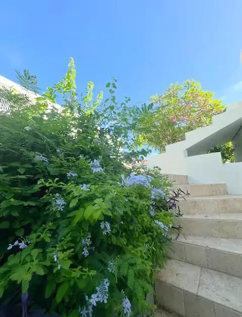 Solace Villa Little Carrot Bay