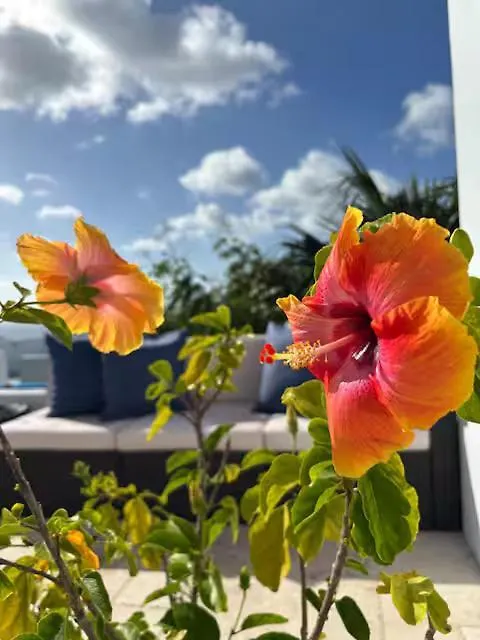 Solace Villa Little Carrot Bay
